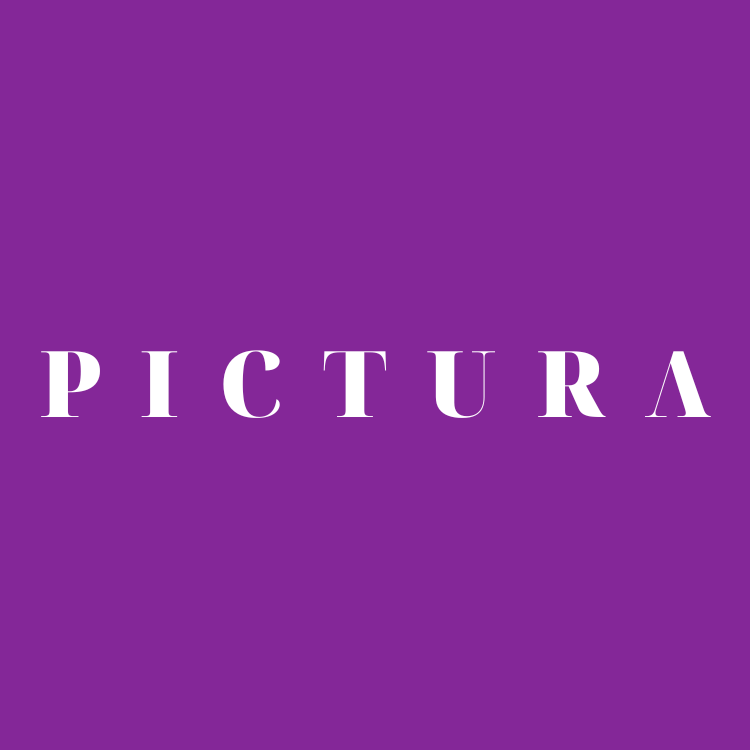 PICTURA logo on purple background